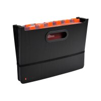 EXACOMPTA Fächermappe Exadesk Exactive 58934E 24...