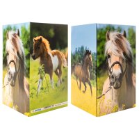 HERMA Pot à crayons Pré à chevaux,...