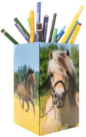 HERMA Pot à crayons Pré à chevaux, carton