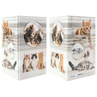 HERMA Pot à crayons Chats, carton