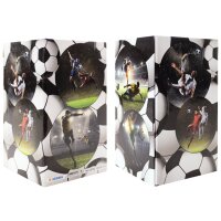 HERMA Stifteköcher "Fussball", Karton