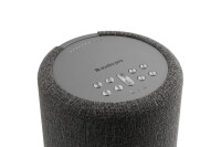 AUDIO PRO Speaker A10 MkII 15280 Dark Grey