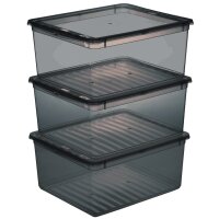 keeeper Set de boîtes de rangement bea, 3x 11 L, gris
