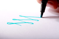 STAEDTLER Feutre pigment calligraphy pen, étui de 12