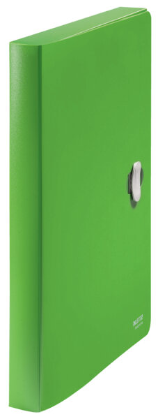 LEITZ Sammelbox Recycle, 30 mm, DIN A4, PP, grün