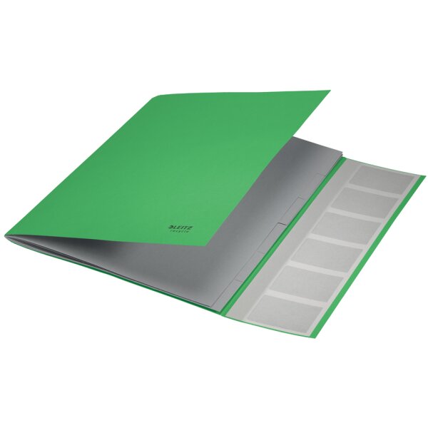 LEITZ Chemise trieur Recycle, A4, carton, vert