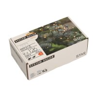 STAR TRADING System Decor Lichterkette 3m 12.495-13...