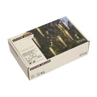 STAR TRADING System Decor Lichterkette 5m 12.495-67-1...