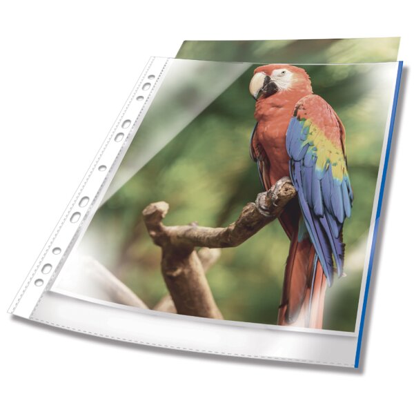 DURABLE Pochette perforée PREMIUM, A4, PP, bord blanc