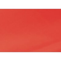 Clairefontaine Papier cadeau kraft, vert bourgeon