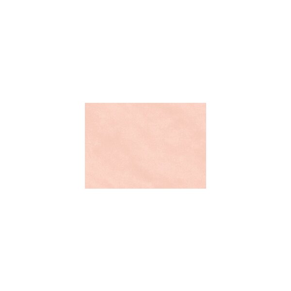 Clairefontaine Papier cadeau kraft, rose pâle