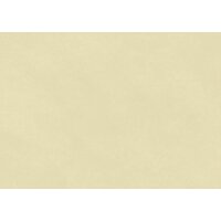 Clairefontaine Papier cadeau kraft, rose pâle