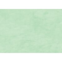 Clairefontaine Papier cadeau kraft, rose pâle