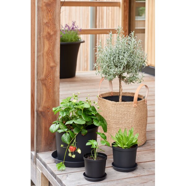 orthex Pot de fleurs CULTIVATE, diamètre: 140 mm, noir