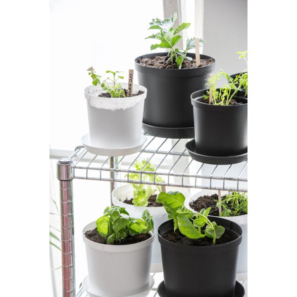 orthex Pot de fleurs CULTIVATE, diamètre: 140 mm, noir