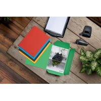 LEITZ Chemise-trieur, A4, carton de 430 g/m2, vert