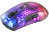 DELTACO Lightweight Mouse Wirel.RGB GAM-145 Semi-Transparent,DM320,Black