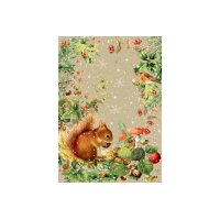 COPPENRATH A5 Adventskalender 95283 Zauber der Winternatur