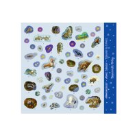 COPPENRATH Sticker Adventskalender 95253 Tiere im Winterwald