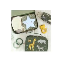 ALLC Kofferset 29x9x20cm SCSAGR24 Savanna