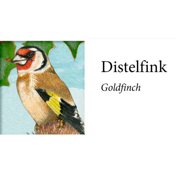COPPENRATH Sound Adventskalender 95250 Unsere V&ouml;gel im Winter