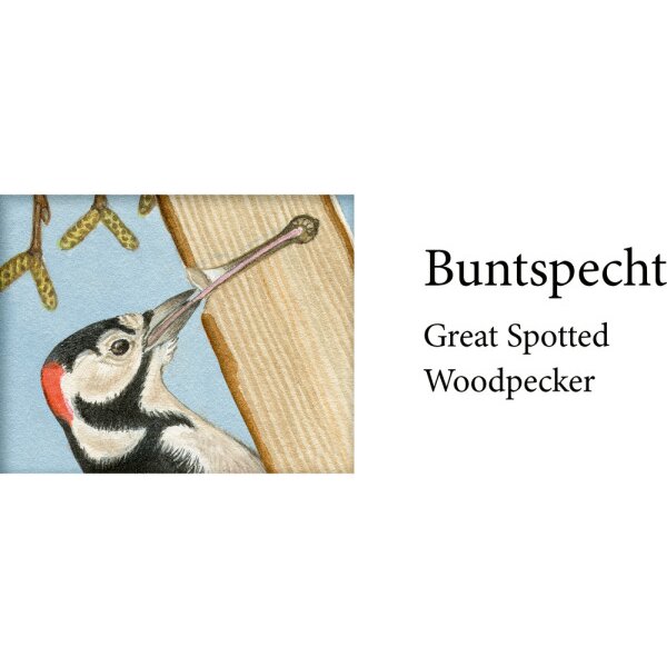 COPPENRATH Sound Adventskalender 95250 Unsere V&ouml;gel im Winter