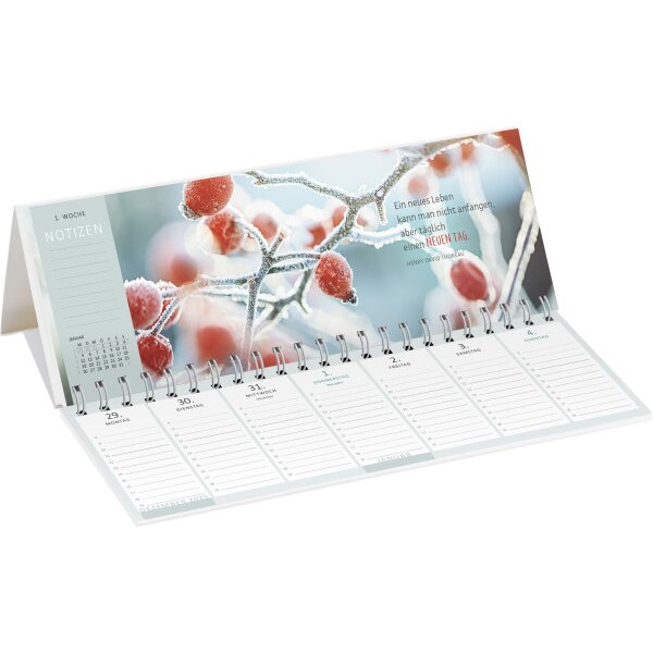 ARS EDITION Tischkalender 2027 13931 Lieblingstag DE 29.7x11.5cm