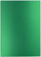 CARAN DACHE Carnet de notes COLORMAT-X, A5, ligné, vert