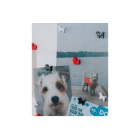 I AM CREATIVE Aimant Chien Let`s Organize 4035.53 noir, blanc 6 pièces