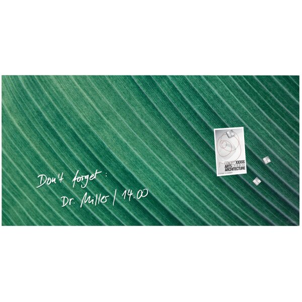 sigel Tableau magnétique en verre Artverum Design Palm Leaf