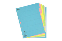 BIELLA Register Karton farbig A4 46140600U 6-teilig, blanko
