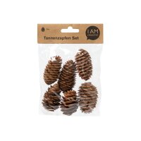 I AM CREATIVE Tannenzapfenset 6102.87 länglich 6...