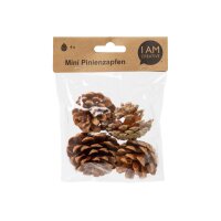 I AM CREATIVE Pinienzapfen 6102.871 mini 4 Stück