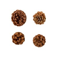 I AM CREATIVE Pinienzapfen 6102.871 mini 4 Stück