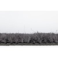 miltex Schmutzfangmatte EAZYCARE BASIC, hellgrau