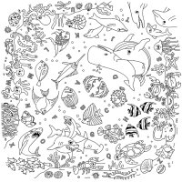 PAPERFLOW Table à dessiner KIDS SPORT, set de 2