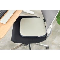 LEITZ Coussin dassise Ergo Active Balance, gris clair