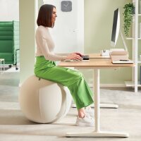 LEITZ Sitzball Ergo Active, Durchmesser: 650 mm, samtgrau