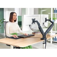 LEITZ Bras double pour écrans Ergo Dual, gris...