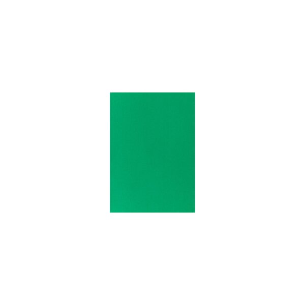 I AM CREATIVE Papier de couleur A4 2903008327 120g, vert sapin