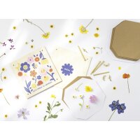 folia Blütenpresse "Flower Press", (B)145...