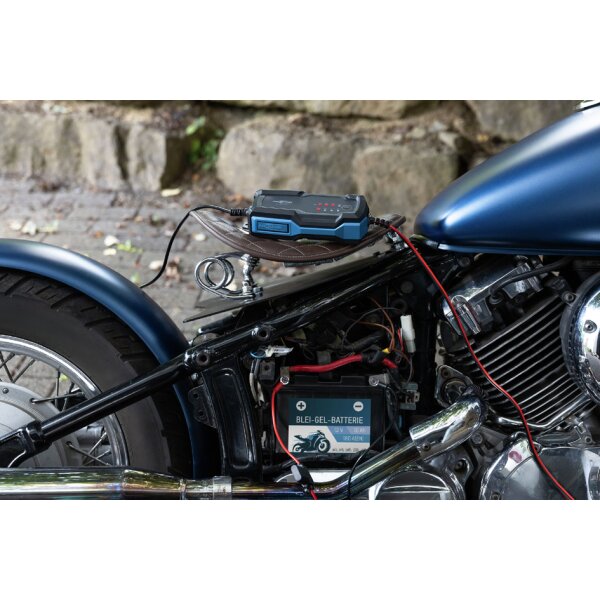 ANSMANN Chargeur de batterie BC, 6-12V/2A, noir/bleu