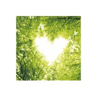 ELCO Serviette Zelltuch 33x33cm 19508800-097 3-lagig,...