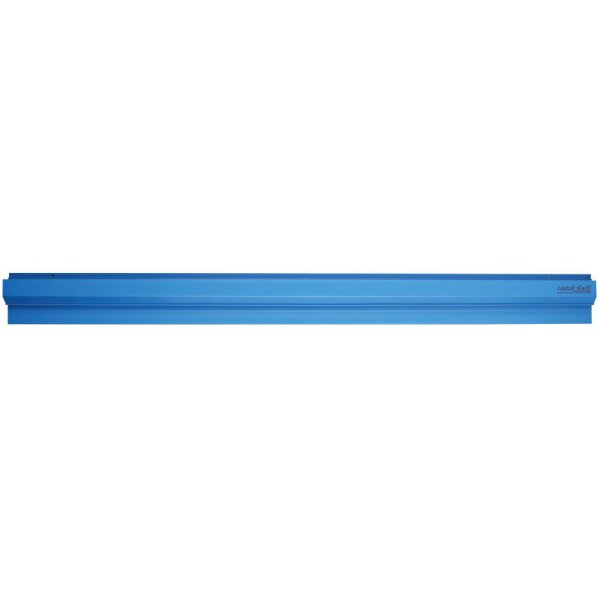 HYGOSTAR Rail daffichage Catch-ball-System Notebord, bleu
