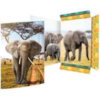 RNK Verlag Carton à dessin Élephant, A3