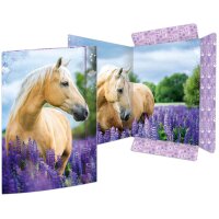 RNK Verlag Carton à dessin Cheval, A3