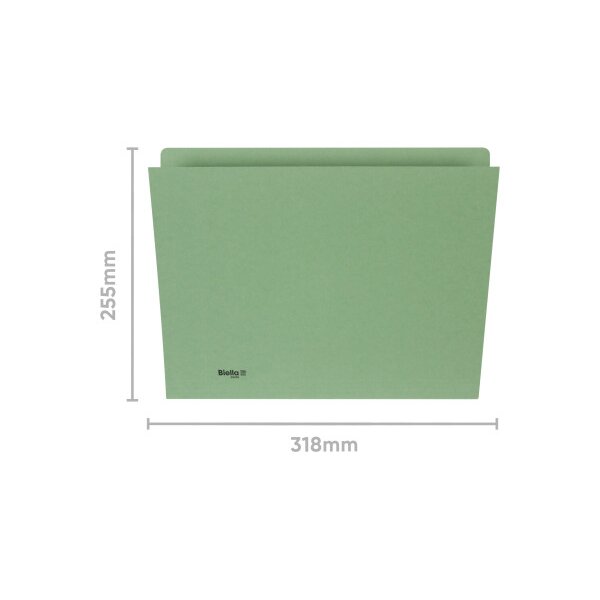 BIELLA Vertikalmappe A4 25543230U grün 320g 100 Stück
