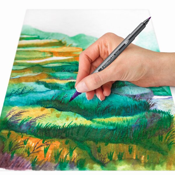 STAEDLER Feutre double pointe Asie, étui en carton de 6