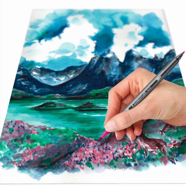 STAEDLER Feutre double pointe Asie, étui en carton de 6