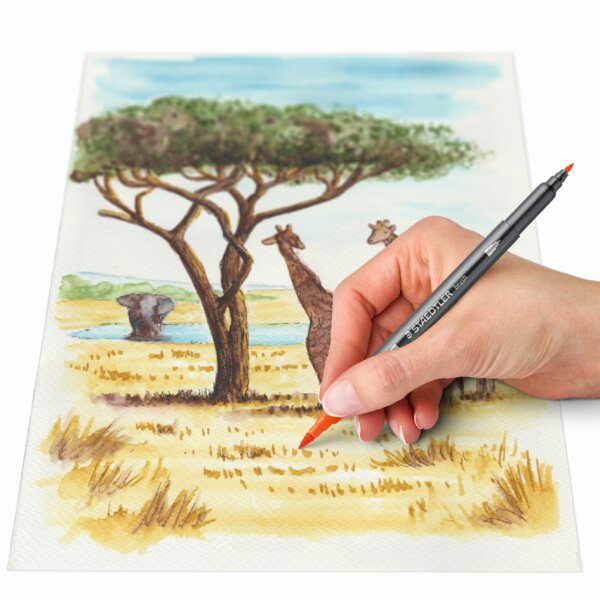 STAEDLER Feutre double pointe Asie, étui en carton de 6